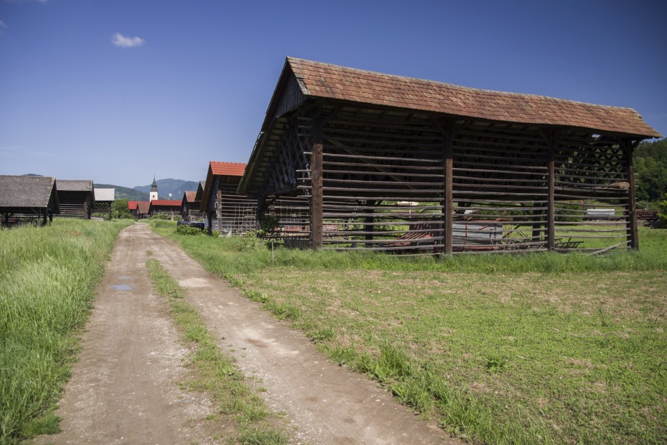 21. maj 20 - foto povečava