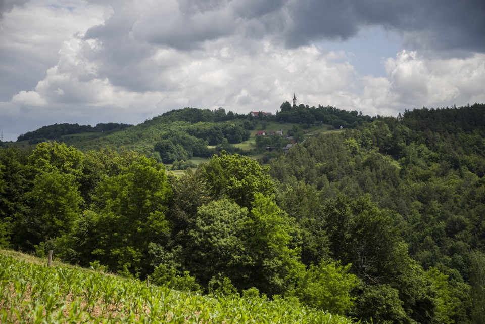 1. junij 20 - foto povečava