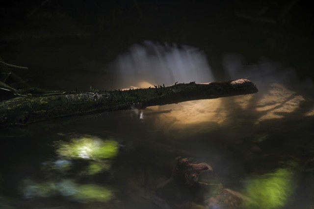3. junij 20 - foto