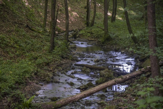 3. junij 20 - foto