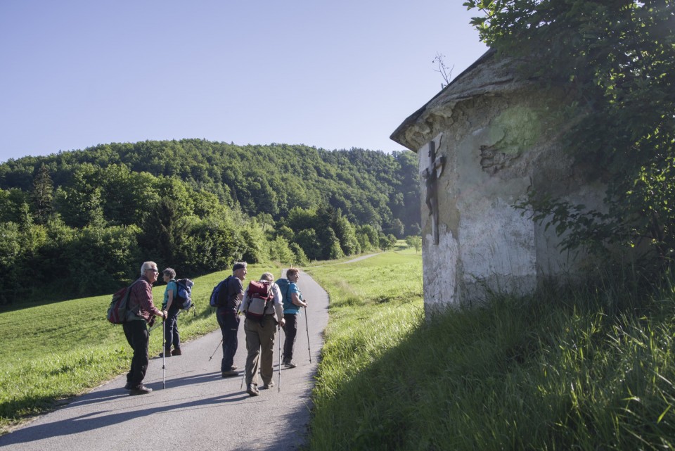 11. junij 20 - foto povečava