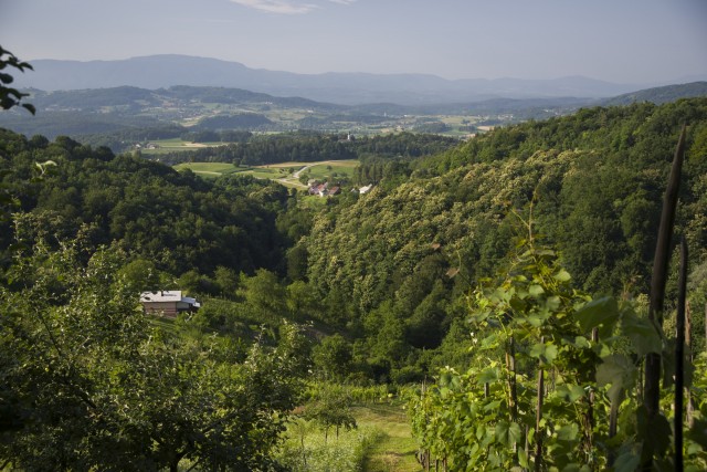 29. junij 20 - foto