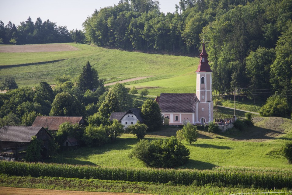 28. julij 20 - foto povečava