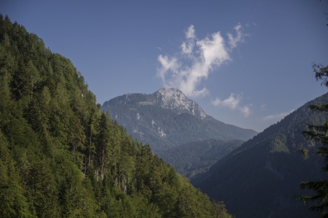 1. avgust 20 - foto