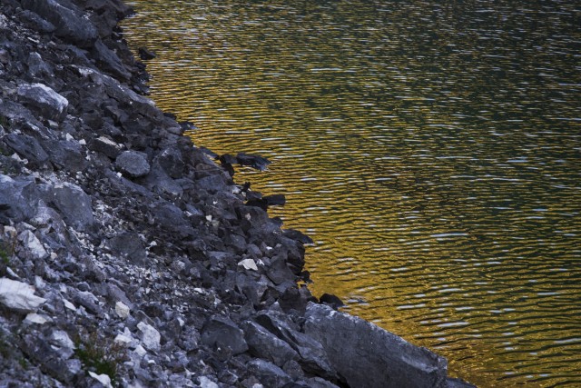 8. avgust 20 Krnsko jezero - foto