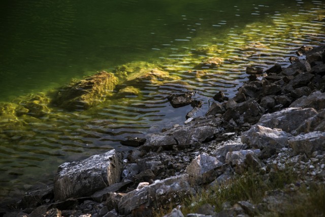 8. avgust 20 Krnsko jezero - foto