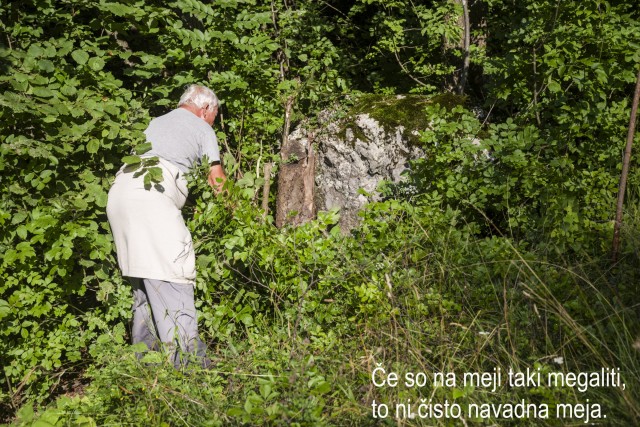 17. avgust 20 - foto