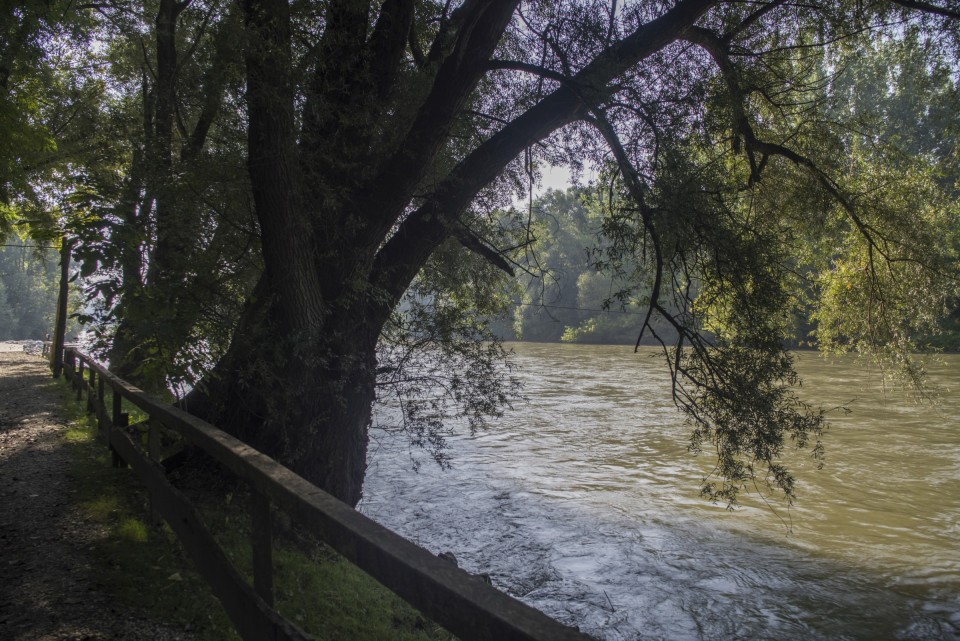 15. september 20 - foto povečava