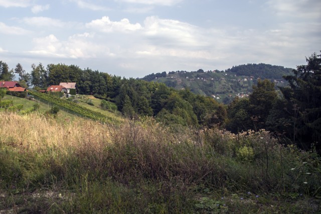 17. september 20b - foto
