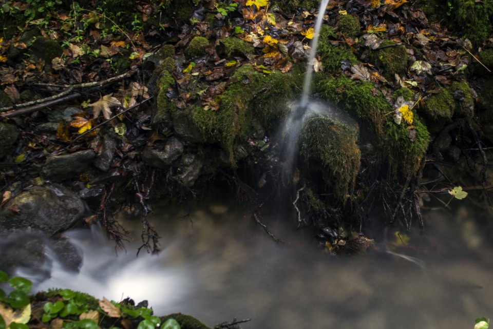 23. september 20 - foto povečava