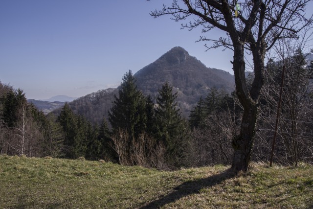 28. februar 21. - foto