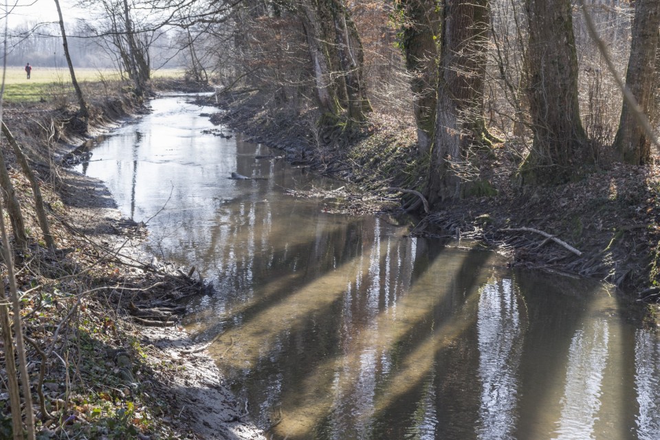 1. marec 21. - foto povečava