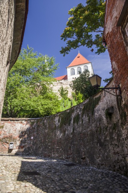 10. avgust 21. - foto