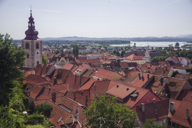 10. avgust 21. - foto