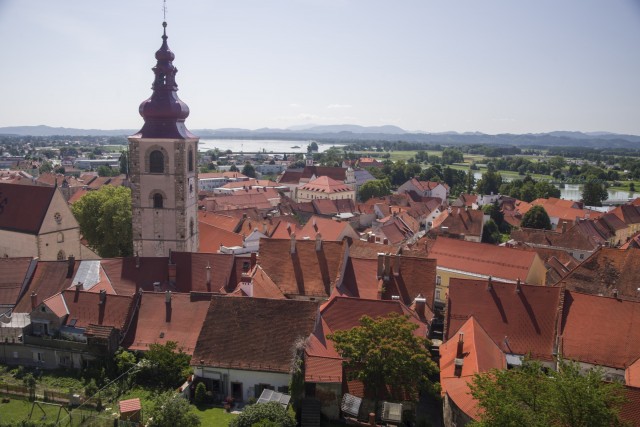 10. avgust 21. - foto