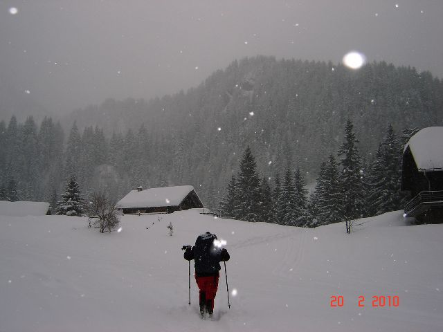 Zimsko izpopolnjevanje 2010 - foto