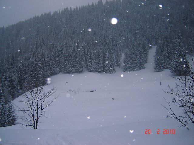 Zimsko izpopolnjevanje 2010 - foto