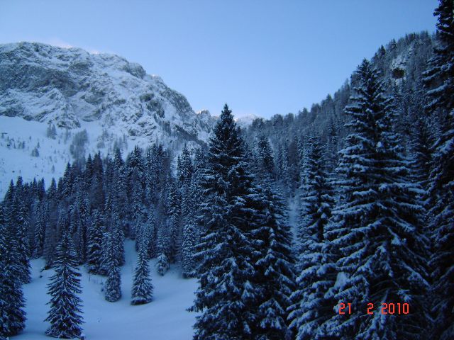 Zimsko izpopolnjevanje 2010 - foto