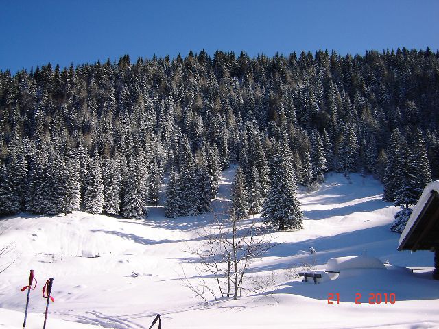 Zimsko izpopolnjevanje 2010 - foto