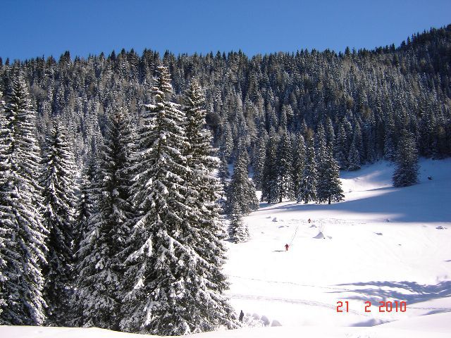 Zimsko izpopolnjevanje 2010 - foto