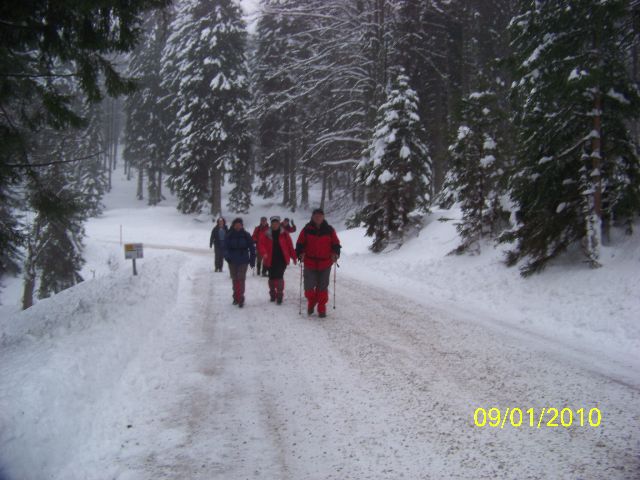 Pohorski bataljon 2010 - foto povečava