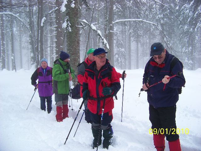 Pohorski bataljon 2010 - foto