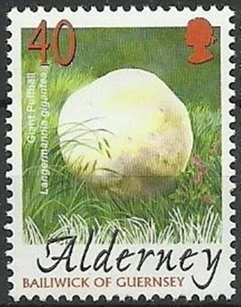 Alderney 29.01.2004