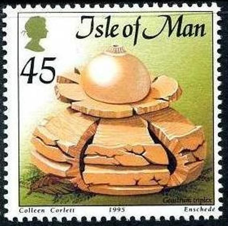 Otok Man  01.09.1995