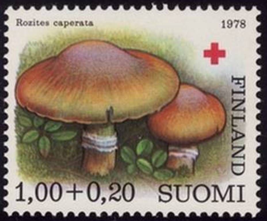 Finska  13.09.1978