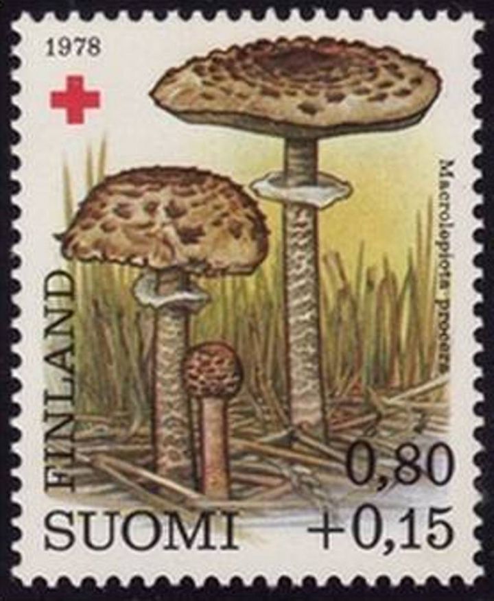 Finska  13.09.1978