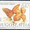 Jugoslavija  21.03.1983