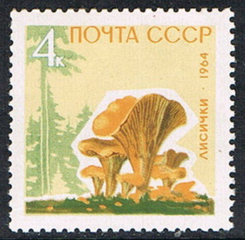 SSSR 25.11.1964
