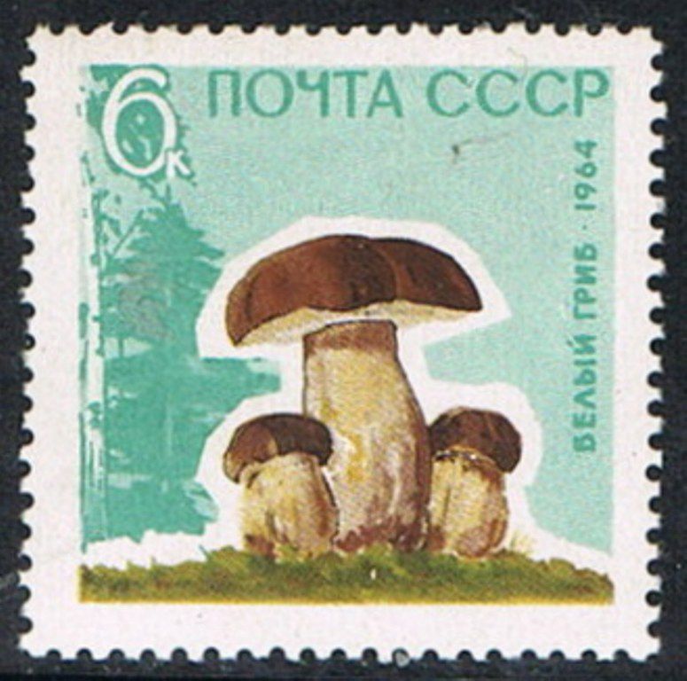 SSSR 25.11.1964