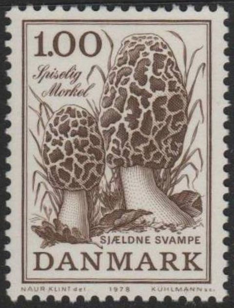 Danska  16.11.1978
