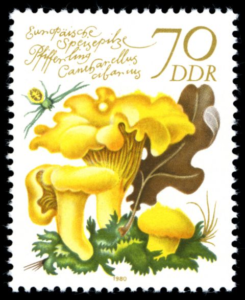 DDR 1980
