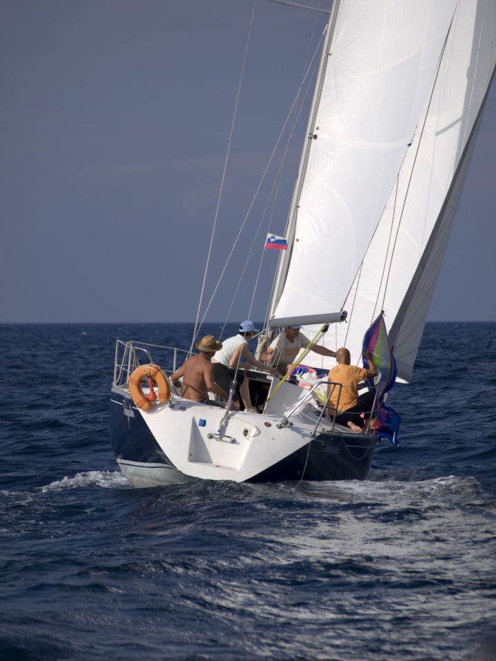 Regata osor 2009 - foto povečava