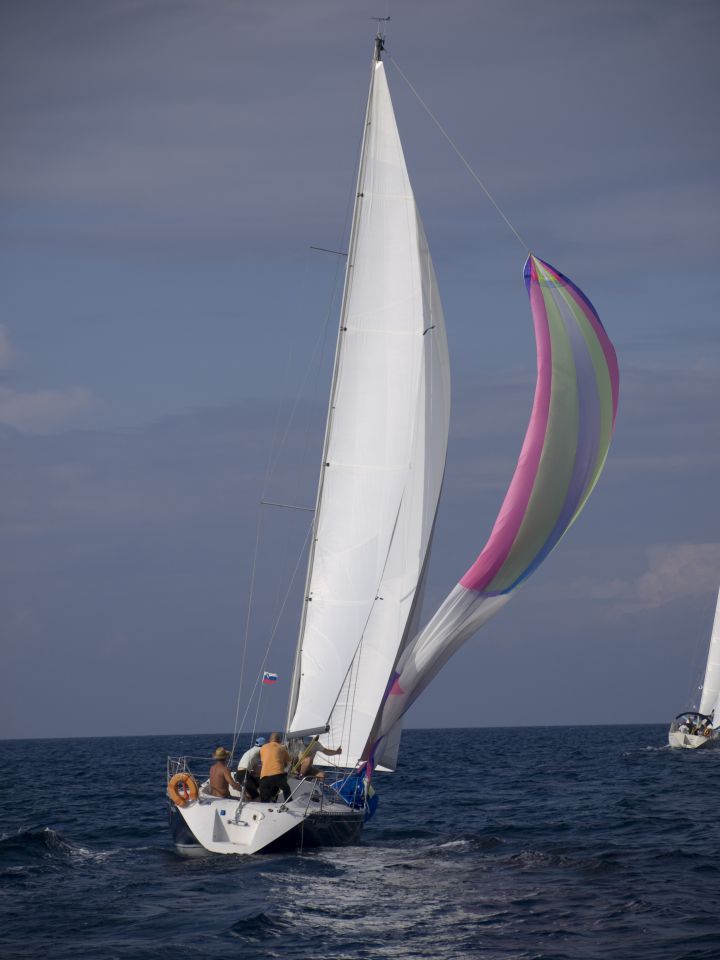 Regata osor 2009 - foto povečava