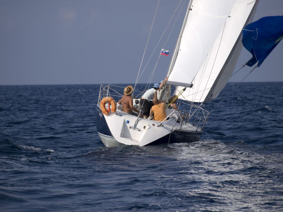 Regata osor 2009 - foto povečava