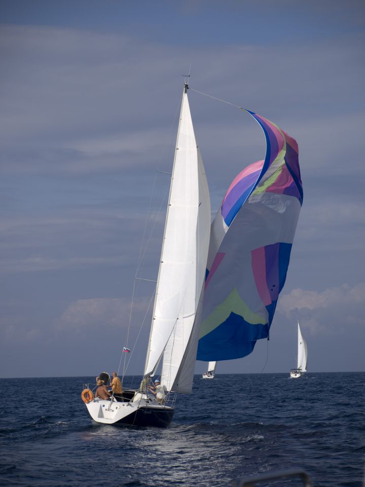 Regata osor 2009 - foto povečava