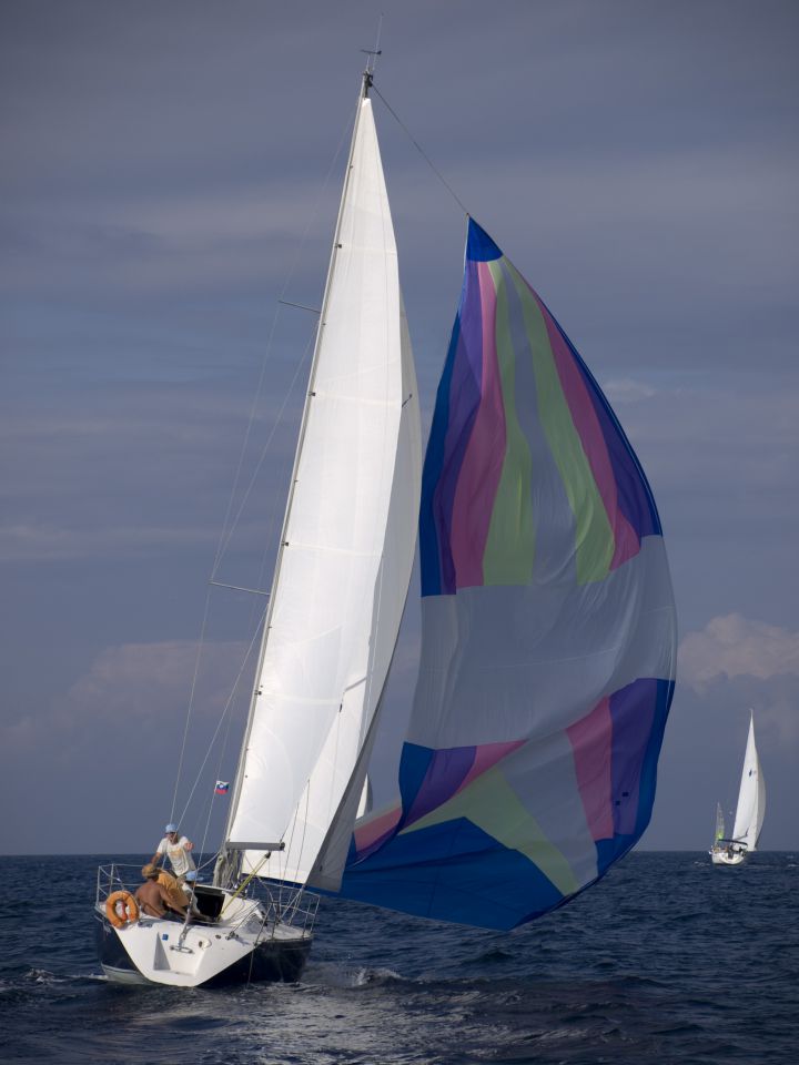 Regata osor 2009 - foto povečava