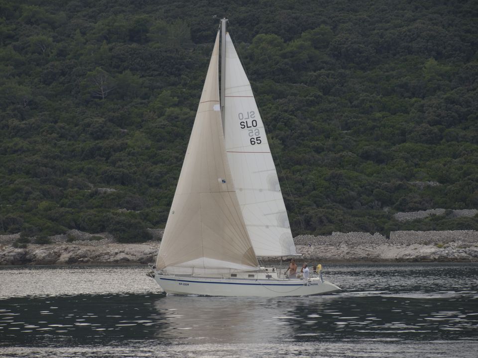 Regata osor 2009 - foto povečava