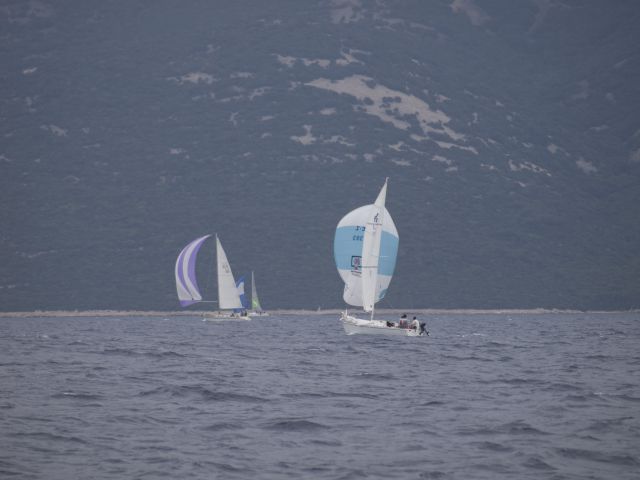 Regata osor 2009 - foto