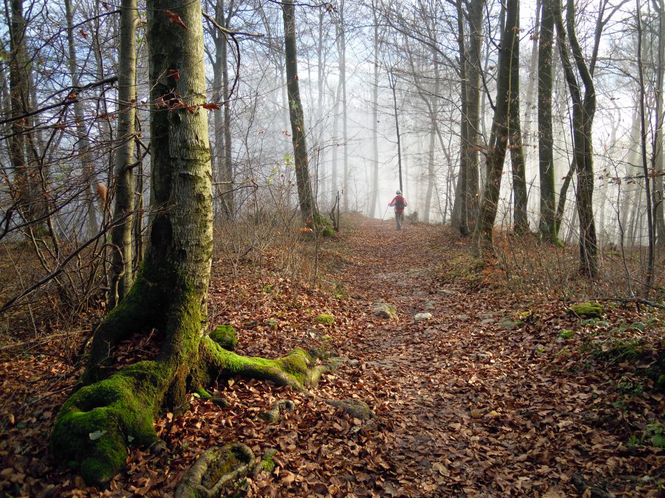 Zavetišče na Planini - foto povečava