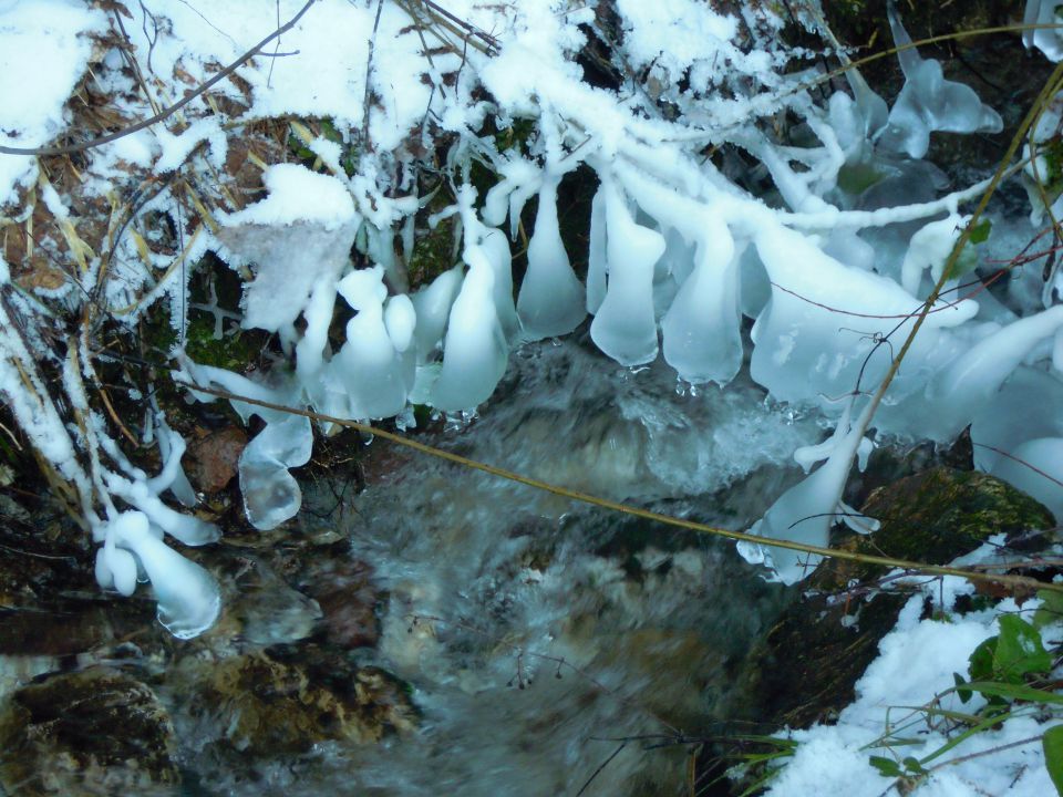 GRMADA  -  GONTE - foto povečava