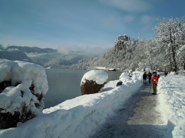 Peš okoli Blejskega jezera - foto