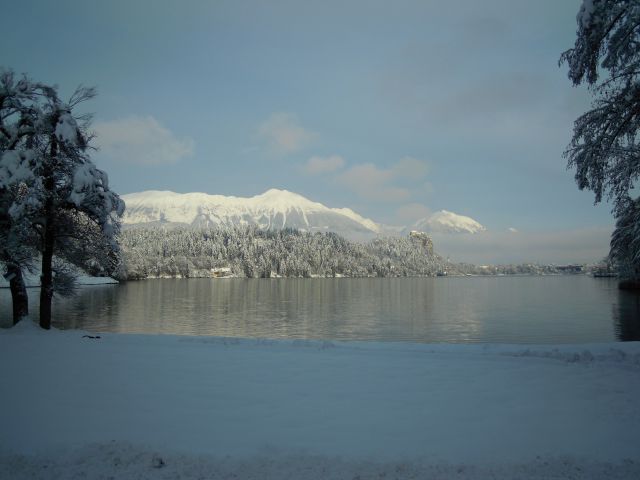 Peš okoli Blejskega jezera - foto