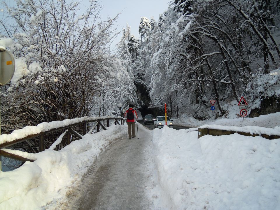 Peš okoli Blejskega jezera - foto povečava