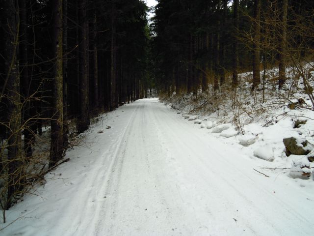 ŽUPANOV  LAZ  -  Babno Polje - foto