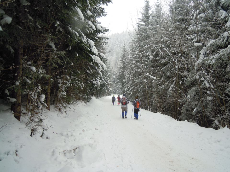 ZIMSKI POHOD NA ZG.POLJANE - foto povečava