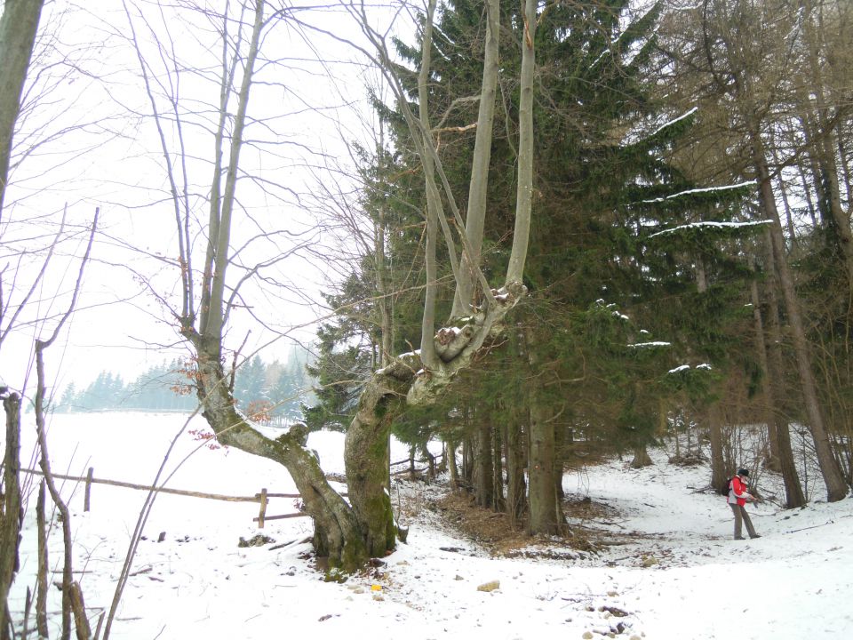 Ambrož pod Krvavcem  - foto povečava